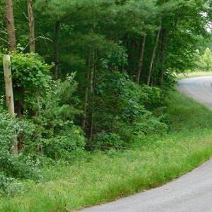 Photo #40 of SOLD property in Off Taylor View Road, Patrick Springs, VA 21.0 acres