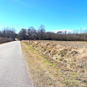 Photo #3 of SOLD property in Spivey Run Road, Suffolk, VA 1.0 acres