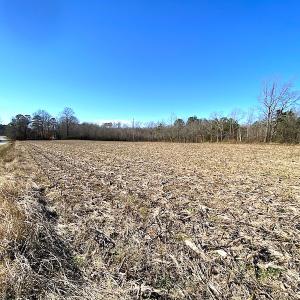 Photo #4 of SOLD property in Spivey Run Road, Suffolk, VA 1.0 acres