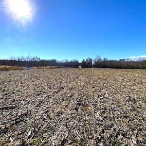 Photo #5 of SOLD property in Spivey Run Road, Suffolk, VA 1.0 acres