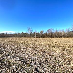 Photo #6 of SOLD property in Spivey Run Road, Suffolk, VA 1.0 acres