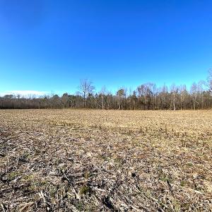 Photo #6 of SOLD property in Spivey Run Road, Suffolk, VA 1.0 acres