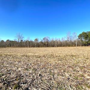 Photo #7 of SOLD property in Spivey Run Road, Suffolk, VA 1.0 acres