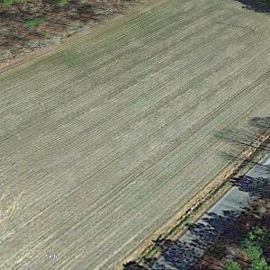 Photo #11 of SOLD property in Spivey Run Road, Suffolk, VA 1.0 acres