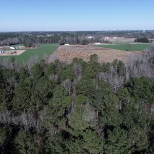 Photo #4 of SOLD property in Off Highway 130 Bypass, Fairmont, NC 10.3 acres