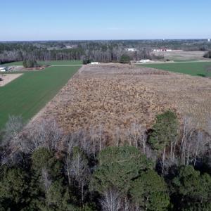Photo #6 of SOLD property in Off Highway 130 Bypass, Fairmont, NC 10.3 acres