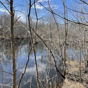 Photo #21 of SOLD property in Off Little Mill Road, Jarratt, VA 30.0 acres