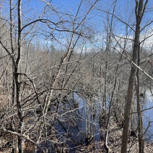 Photo #22 of SOLD property in Off Little Mill Road, Jarratt, VA 30.0 acres