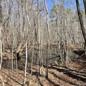 Photo #25 of SOLD property in Off Little Mill Road, Jarratt, VA 30.0 acres