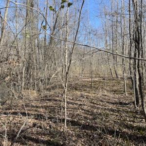 Photo #26 of SOLD property in Off Little Mill Road, Jarratt, VA 30.0 acres