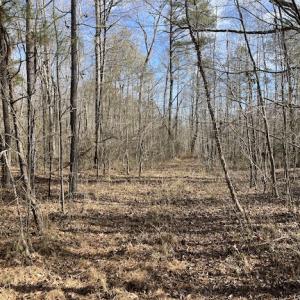 Photo #27 of SOLD property in Off Little Mill Road, Jarratt, VA 30.0 acres