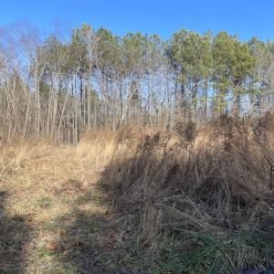 Photo #4 of SOLD property in Off Little Mill Road, Jarratt, VA 30.0 acres