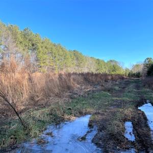 Photo #5 of SOLD property in Off Little Mill Road, Jarratt, VA 30.0 acres