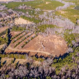 Photo #11 of SOLD property in Off Shep Royster Road, Oxford, NC 20.1 acres