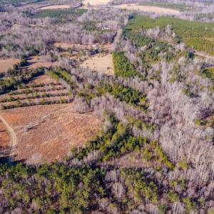 Photo #12 of SOLD property in Off Shep Royster Road, Oxford, NC 20.1 acres