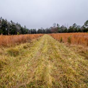 Photo #14 of SOLD property in Off Shep Royster Road, Oxford, NC 20.1 acres
