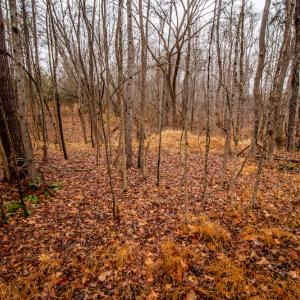 Photo #15 of SOLD property in Off Shep Royster Road, Oxford, NC 20.1 acres