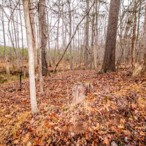 Photo #17 of SOLD property in Off Shep Royster Road, Oxford, NC 20.1 acres