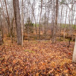 Photo #18 of SOLD property in Off Shep Royster Road, Oxford, NC 20.1 acres