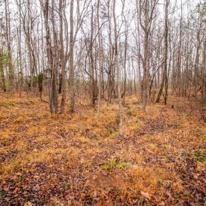 Photo #19 of SOLD property in Off Shep Royster Road, Oxford, NC 20.1 acres