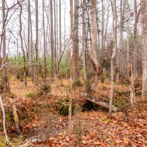 Photo #22 of SOLD property in Off Shep Royster Road, Oxford, NC 20.1 acres