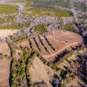 Photo #4 of SOLD property in Off Shep Royster Road, Oxford, NC 20.1 acres