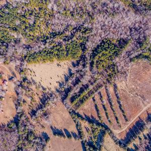 Photo #5 of SOLD property in Off Shep Royster Road, Oxford, NC 20.1 acres