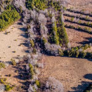 Photo #6 of SOLD property in Off Shep Royster Road, Oxford, NC 20.1 acres