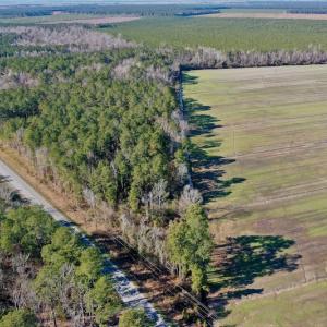 Photo #2 of SOLD property in Off Highway 304, Bayboro, NC 0.6 acres