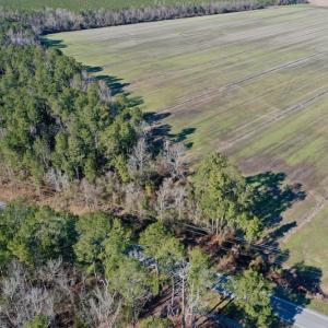 Photo #11 of SOLD property in Off Highway 304, Bayboro, NC 0.6 acres