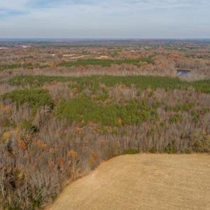 Photo #9 of SOLD property in Off Halifax Road, Roxboro, NC 21.3 acres
