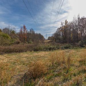 Photo #13 of SOLD property in Off Halifax Road, Roxboro, NC 21.3 acres