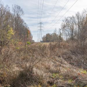 Photo #18 of SOLD property in Off Halifax Road, Roxboro, NC 21.3 acres