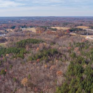 Photo #5 of SOLD property in Off Halifax Road, Roxboro, NC 21.3 acres