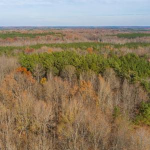 Photo #7 of SOLD property in Off Halifax Road, Roxboro, NC 21.3 acres