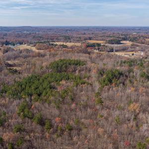 Photo #8 of SOLD property in Off Halifax Road, Roxboro, NC 21.3 acres