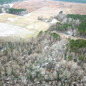 Photo #5 of SOLD property in Off White Marsh Road, Suffolk, VA 13.5 acres