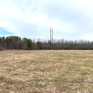 Photo #7 of SOLD property in Off White Marsh Road, Suffolk, VA 13.5 acres