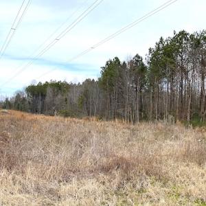Photo #8 of SOLD property in Off White Marsh Road, Suffolk, VA 13.5 acres