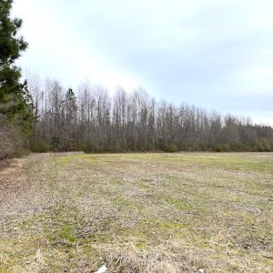 Photo #9 of SOLD property in Off White Marsh Road, Suffolk, VA 13.5 acres