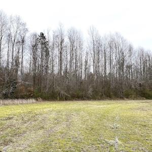 Photo #10 of SOLD property in Off White Marsh Road, Suffolk, VA 13.5 acres