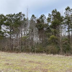 Photo #11 of SOLD property in Off White Marsh Road, Suffolk, VA 13.5 acres