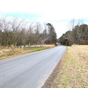 Photo #12 of SOLD property in Off White Marsh Road, Suffolk, VA 13.5 acres