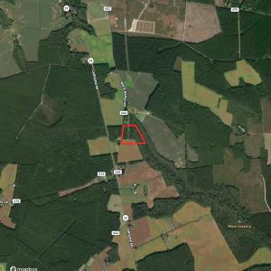 Photo #13 of SOLD property in Off White Marsh Road, Suffolk, VA 13.5 acres