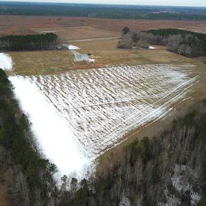 Photo #3 of SOLD property in Off White Marsh Road, Suffolk, VA 7.5 acres