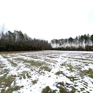 Photo #7 of SOLD property in Off White Marsh Road, Suffolk, VA 7.5 acres
