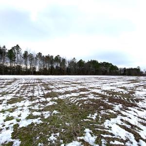 Photo #8 of SOLD property in Off White Marsh Road, Suffolk, VA 7.5 acres