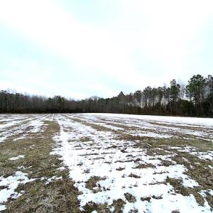 Photo #9 of SOLD property in Off White Marsh Road, Suffolk, VA 7.5 acres
