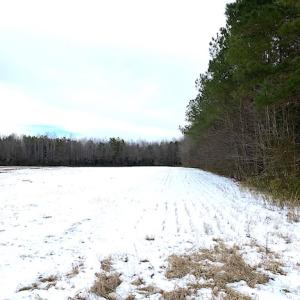 Photo #12 of SOLD property in Off White Marsh Road, Suffolk, VA 7.5 acres