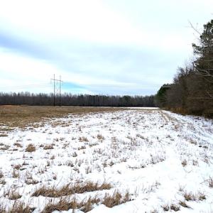 Photo #13 of SOLD property in Off White Marsh Road, Suffolk, VA 7.5 acres